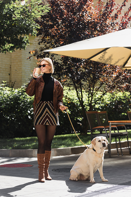 full length of stylish woman in sunglasses holding paper cup while walking with labrador near outdoor cafe