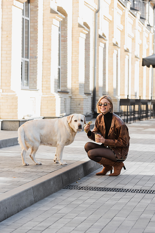 full length of cheerful woman in trendy sunglasses smiling and holding coffee to go while sitting near labrador