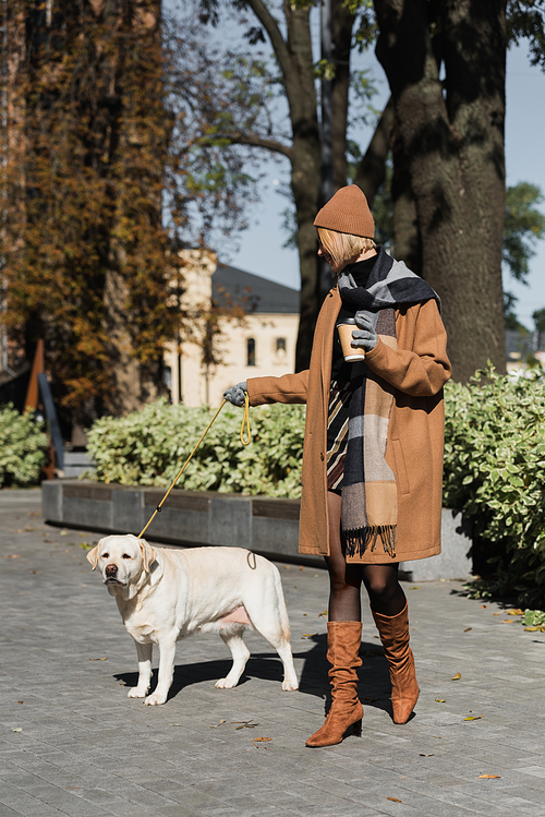 full length of blonde woman in hat and coat holding paper cup while walking with labrador