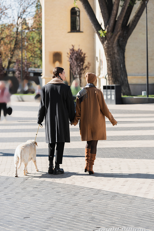 full length of young couple in spring clothes holding hands while walking with dog