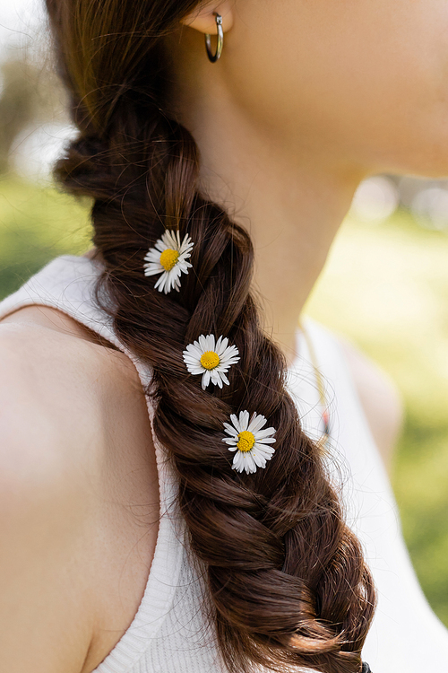 Cropped view of brunette young woman with daisies in braid