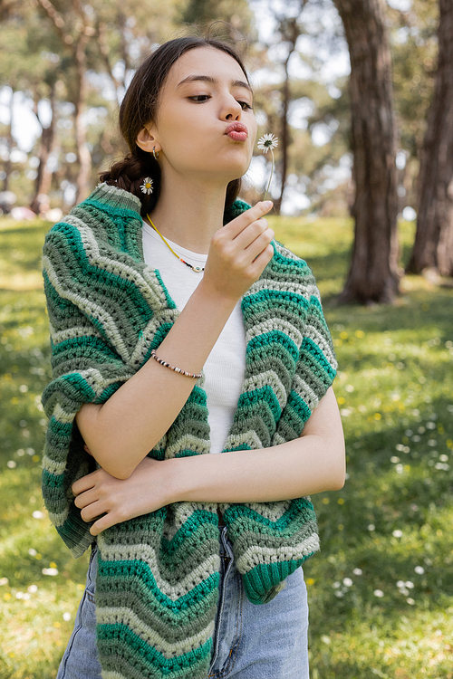 Young woman with knitted sweater on shoulders blowing on daisy in summer park