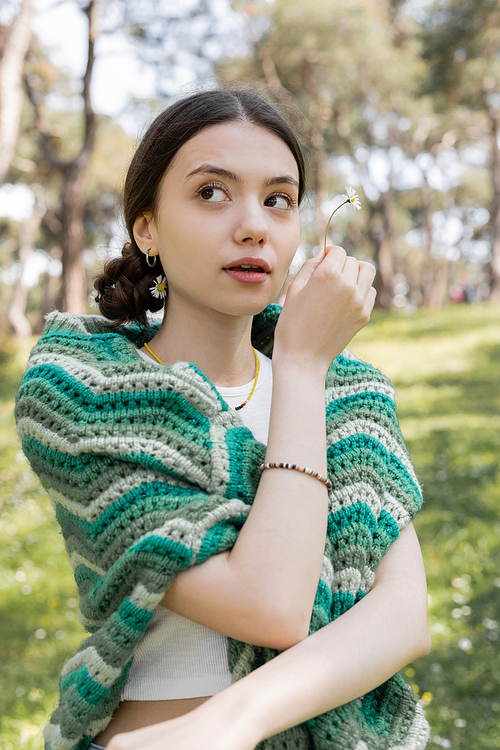 Portrait of young woman with knitted sweater on shoulders holding daisy in park