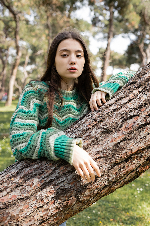 Young brunette woman in sweater looking at camera near tree trunk in summer park