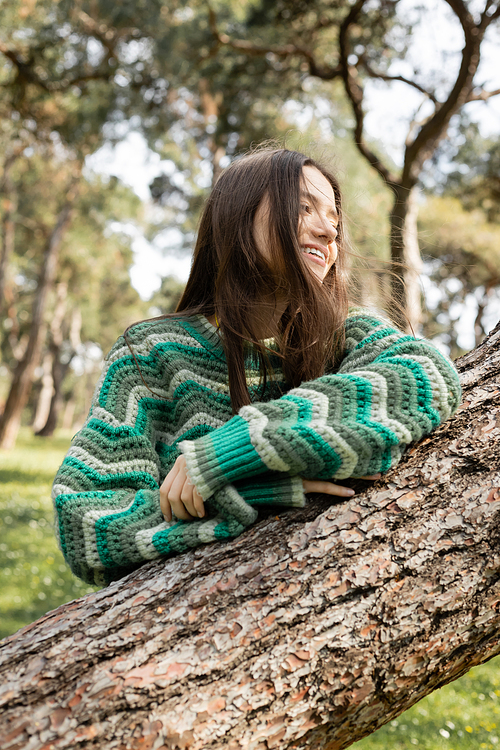 Overjoyed woman in knitted sweater looking away near tree trunk in summer park