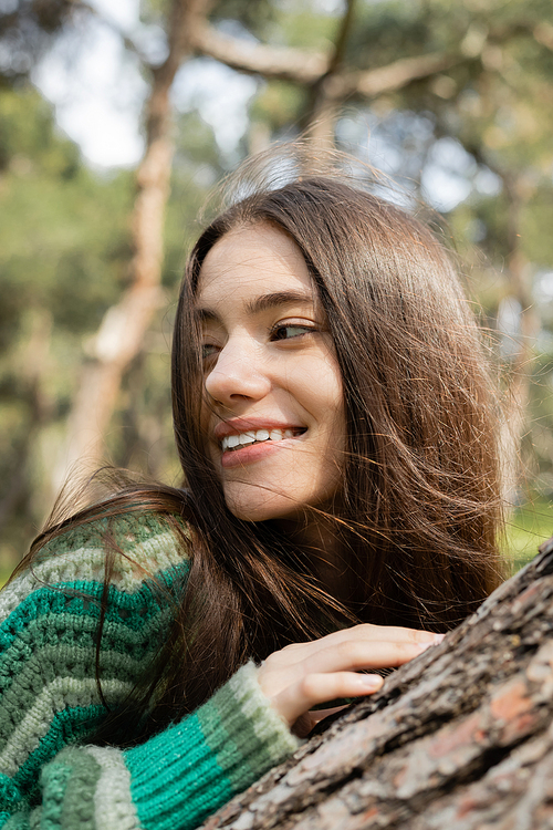 Portrait of smiling young woman in sweater touching tree in blurred park