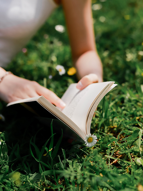 Cropped view of blurred woman holding book on meadow with daisies