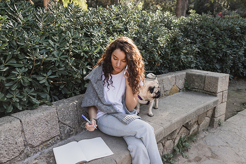 Young and curly woman in sweater talking on smartphone and holding marker near notebook with copy space and pug dog on stone bench near green bushes in park in Barcelona, Spain