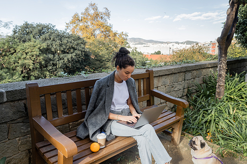 Young brunette freelancer in warm jacket working on laptop near coffee to go and fresh orange on wooden bench and pug dog sitting in park in Barcelona, Spain, during daytime