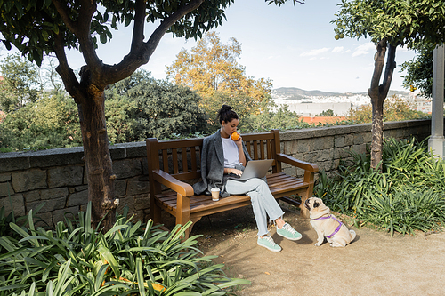 Young freelancer in warm jacket holding fresh orange and using laptop near coffee to go on wooden bench and pug dog near plants in park in Barcelona, Spain, work from anywhere