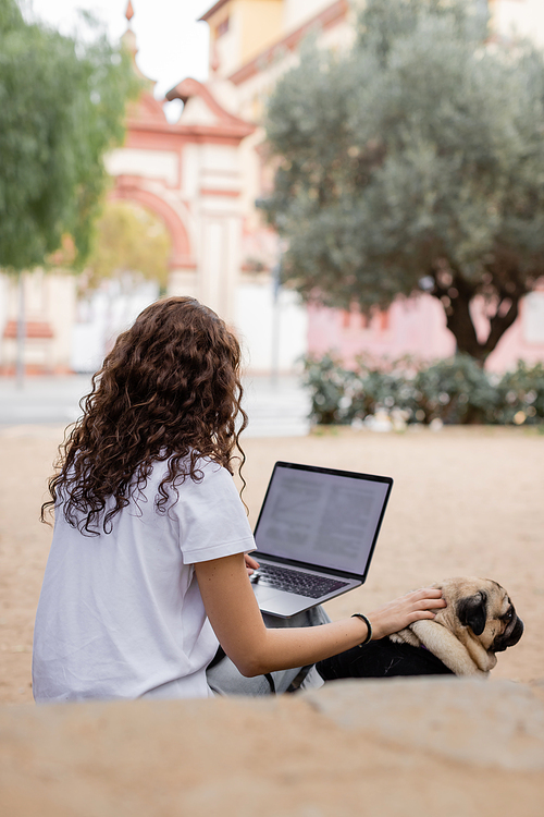 Back view of brunette and curly young freelancer in casual clothes using laptop and petting pug dog while sitting in blurred park at daytime in Barcelona, Spain, white t-shirt