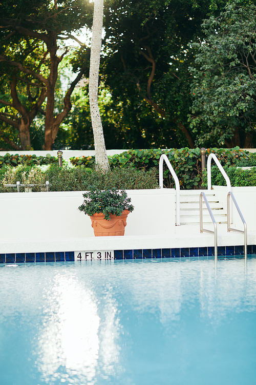 luxury hotel resort, outdoor swimming pool with bright blue water and metallic pool ladder with stainless handrails next to potted plant, blurred background, vacation and holiday concept