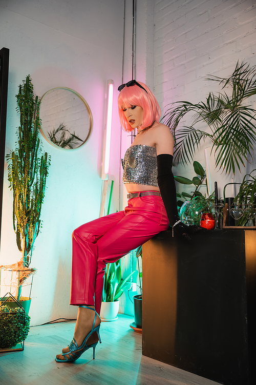 Trendy drag queen in pink wig and sunglasses sitting on table near plants at home
