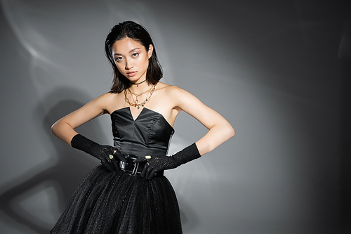 charming asian young woman with short hair posing in black strapless dress with tulle skirt touching belt and looking at camera on grey background, wet hairstyle, golden jewelry