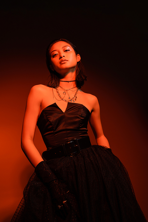 confident asian woman with wet hairstyle posing in black strapless dress with tulle skirt and gloves while standing on dark orange background with red lighting, golden jewelry, young model