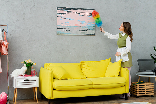 housekeeping concept, young woman with brunette wavy hair cleaning dust off a painting, holding dust brush, housewife doing her daily duties, lifestyle, domestic chores