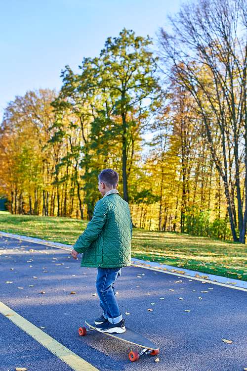 boy in autumnal outerwear riding penny board, asphalt, park in fall season, golden leaves, cute kid