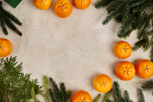 Christmas frame with sweet tangerines near juniper and pine branches on grey textured surface