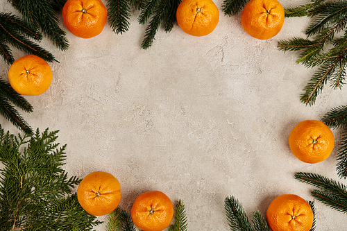 Christmas frame with ripe mandarins near juniper and pine branches on grey textured backdrop