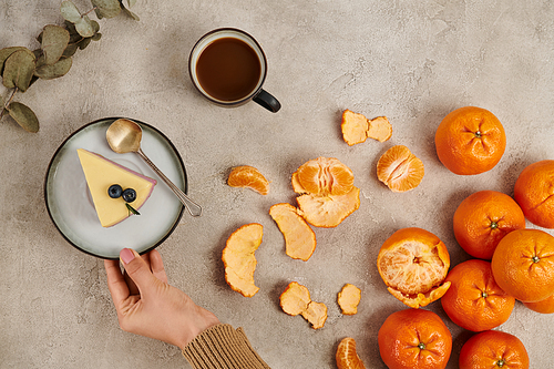 cropped view of woman near pudding, tangerines and hot chocolate drink, traditional Christmas treats