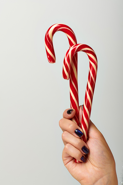 cropped view of woman holding spiral red candy canes on grey background, Merry Christmas concept