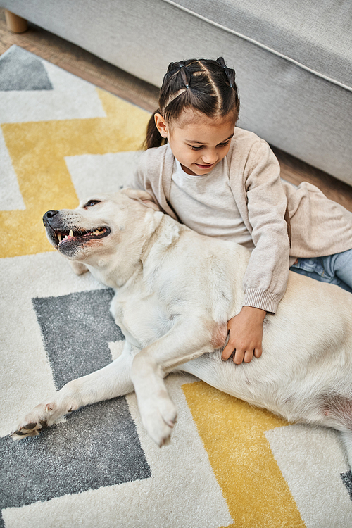 positive girl in casual attire smiling and stroking dog in modern living room, child and labrador