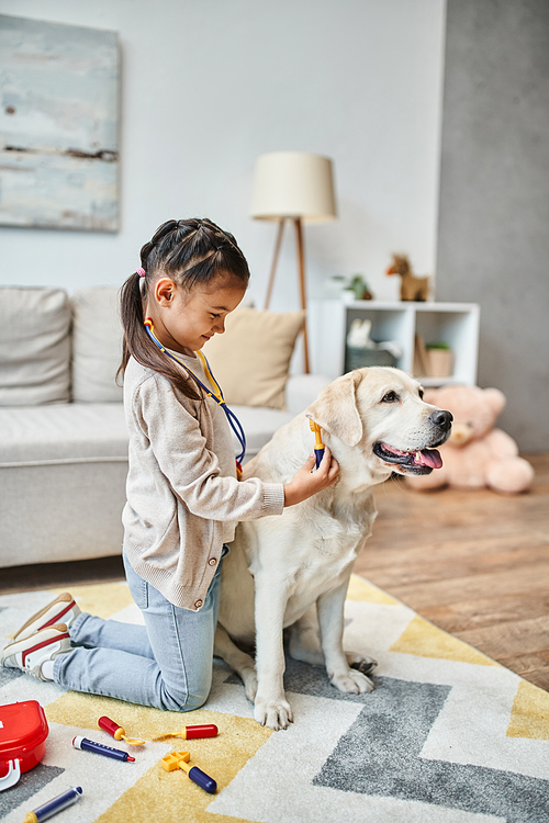 happy girl in casual attire playing doctor with labrador in modern living room, toy first aid kit