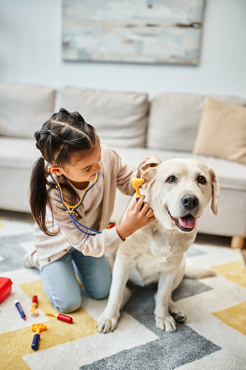 cute girl playing doctor with labrador in modern living room, toy first aid kit and stethoscope