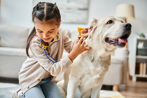 happy kid in casual attire playing doctor with labrador in modern living room, toy stethoscope