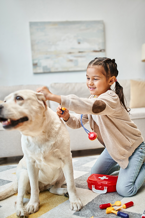 happy child in casual attire playing doctor with labrador in modern living room, toy stethoscope