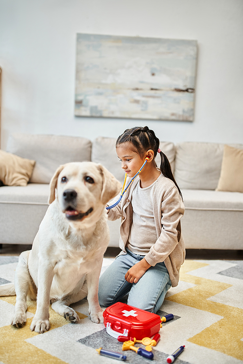 happy girl in casual attire playing doctor with labrador dog in living room, toy first aid kit