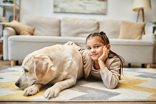 adorable elementary age girl in casual attire lying on carpet with labrador in modern living room