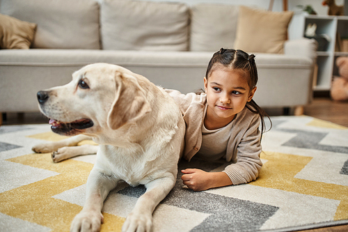 elementary age girl in casual attire lying on carpet with labrador in modern living room