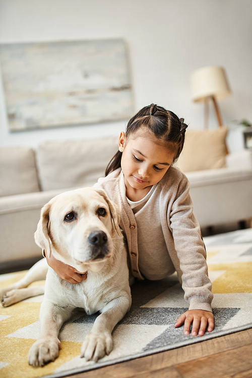 cute elementary age child in casual attire lying on carpet with labrador in modern living room