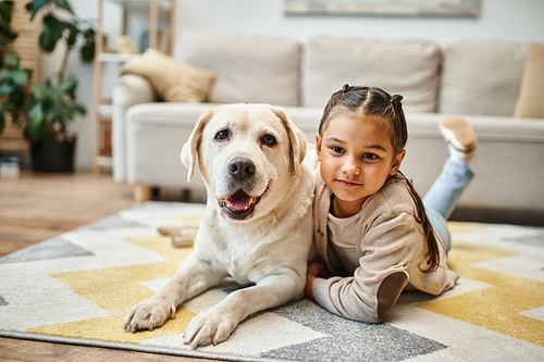 cute elementary age kid in casual attire lying on carpet with labrador in modern living room