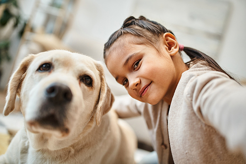 cute elementary age girl in casual attire looking at camera with labrador in modern living room