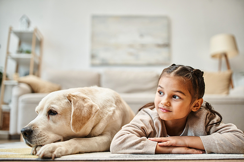 elementary age girl in casual wear lying on carpet with labrador in modern living room, kid and pet