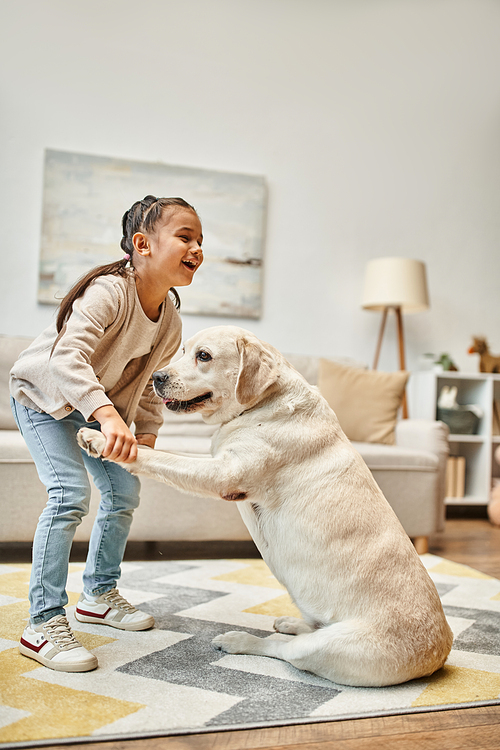 cheerful girl in casual wear training labrador dig and laughing in modern living room, happy moment