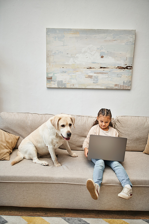 cute elementary age girl sitting on sofa and using laptop near labrador dog in modern living room