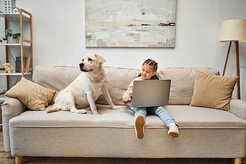 cute elementary age girl sitting on sofa and using laptop near labrador in modern living room