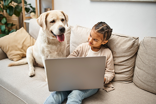 adorable elementary age girl sitting on sofa and using laptop near labrador in modern living room