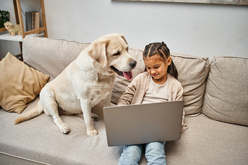 cute little girl sitting on sofa and using laptop near labrador dog in modern living room