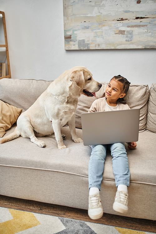 cute elementary age child sitting on sofa and using laptop near labrador dog in modern living room