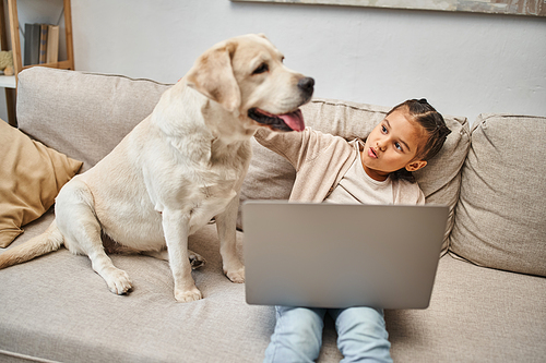 excited elementary age girl sitting on sofa and using laptop near labrador dog in living room