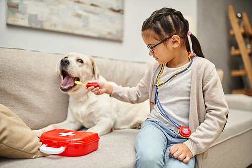 happy kid in casual wear and eyeglasses playing doctor with labrador dog on sofa in living room