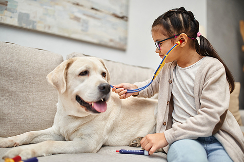 happy girl in casual wear and eyeglasses playing doctor with labrador on sofa in modern living room