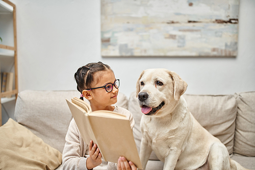 cute girl in casual wear and eyeglasses reading book near labrador dog on sofa in living room