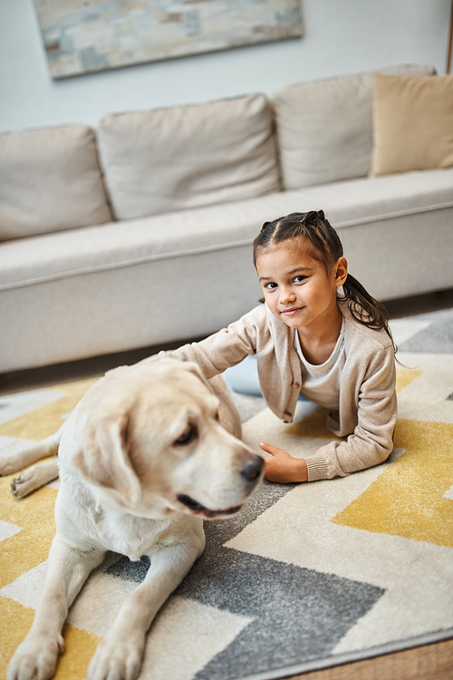 cute elementary age girl in casual attire lying on carpet with labrador in modern living room