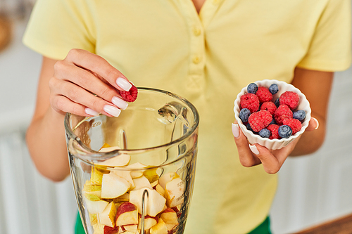 cropped view of vegetarian woman adding raspberries and blueberries into blender with chopped fruits