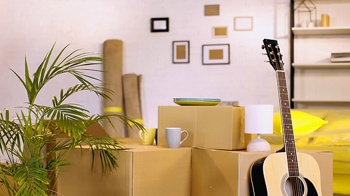 acoustic guitar near plant and blurred cups with plates on carton boxes